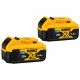 20V MAX 5.0AH BT BATTERY 2PK