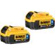 20V BLUE TOOTH BATTERY 2PK